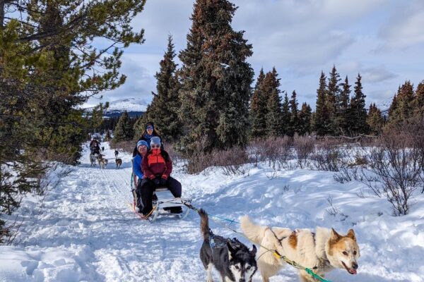 Trineo de Perros en la nieve Canada nieve invierno perros husky (1)