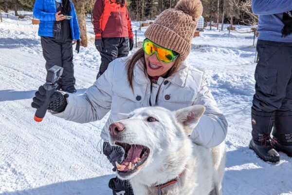 Trineo de Perros en la nieve Canada nieve invierno perros husky (2)