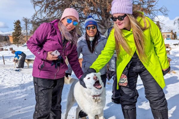 Trineo de Perros en la nieve Canada nieve invierno perros husky (9)