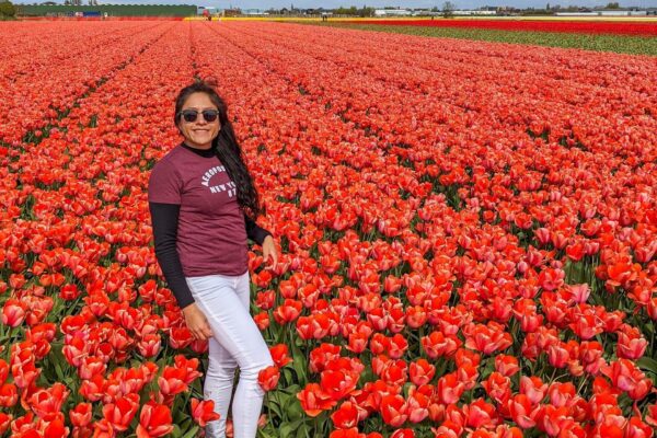 tour a amsterdam tulipanes tour a holanda para jovenes viaje a londes viaje a holanda para jovenes paquete a amsterdam para jovenes paquete a holanda con tulipanes (4)